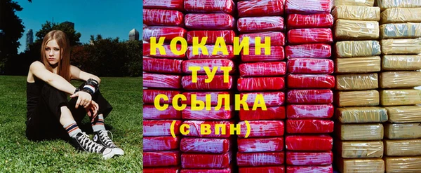 тгк Няндома