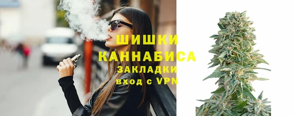 PSILOCYBIN Нязепетровск