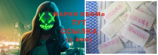 PSILOCYBIN Нязепетровск