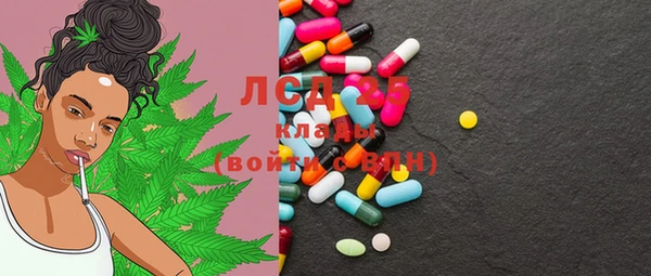PSILOCYBIN Нязепетровск