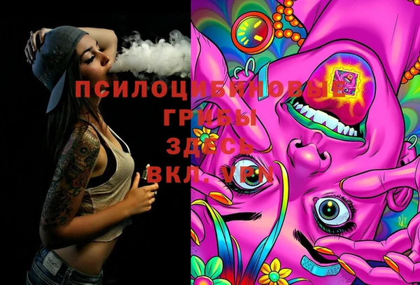 тгк Няндома