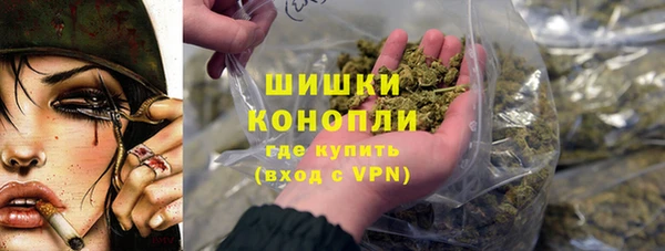 PSILOCYBIN Нязепетровск