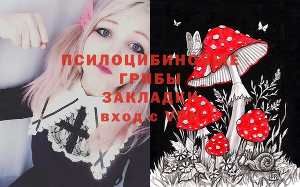 PSILOCYBIN Нязепетровск